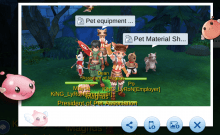 How to catch any pet 100% catch rate